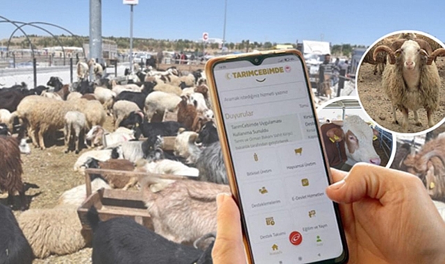 Kurbanlıklar için mobil çözüm!