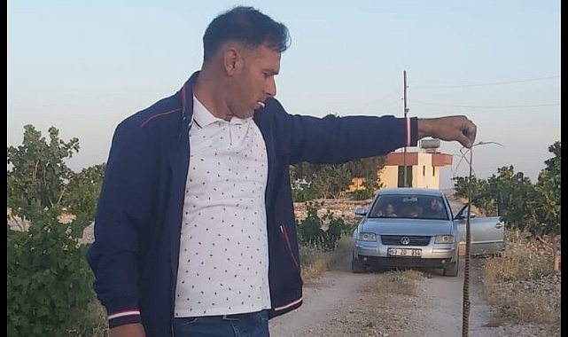 Motor Kaputuna Giren Yılan Sıkışarak Öldü