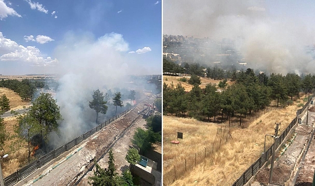 Şanlıurfa'da askeri alanda yangın!