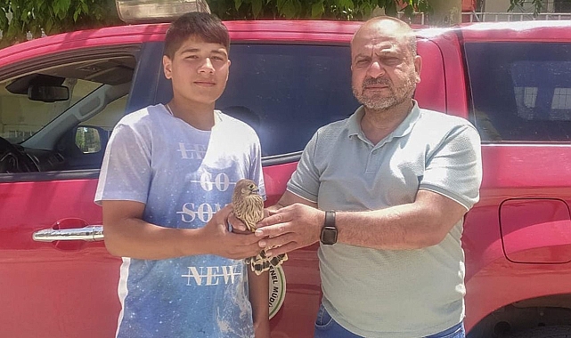 Şanlıurfa’da kerkenez bulundu!