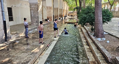 Urfa’da her yaz ortaya çıkan görüntüler!