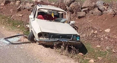 Urfa'da kontrolden çıkan otomobil şarampole uçtu!