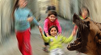 Urfa'da köpek saldırdı! 3 yaşındaki çocuk yaralandı!