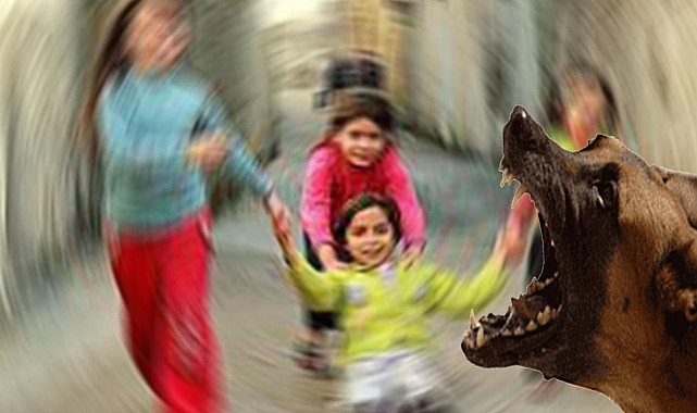 Urfa'da köpek saldırdı! 3 yaşındaki çocuk yaralandı!