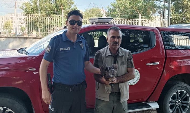 Urfa'da vatandaş tarafından bitkin halde bulundu!