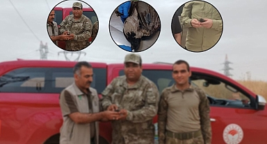 Urfa’da yaralı halde 3 kuş bulundu!