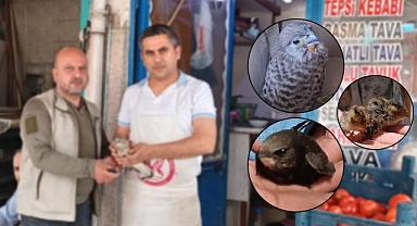 Urfa’da yaralı halde 5 kuş bulundu!