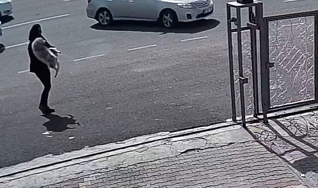Urfa’da yaralı köpeğin yardımına polisler koştu!
