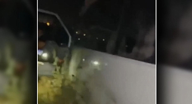 Urfa’nın ilçesinde kaza: Sürücü yaralandı!