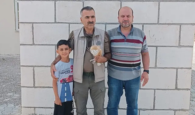 Vatandaş buldu, tedavi edilecek!