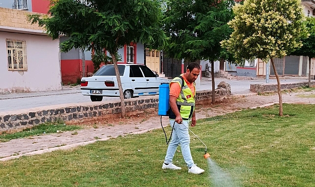 Viranşehir genelindeki parklarda ilaçlama çalışması sürüyor