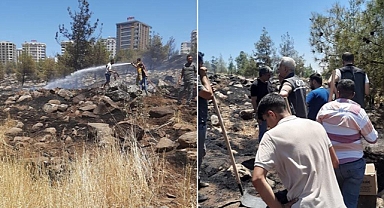 Açıklama geldi! Urfa'daki ormanlık alanı kasten yaktılar!