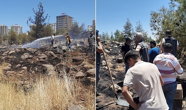 Açıklama geldi! Urfa'daki ormanlık alanı kasten yaktılar!