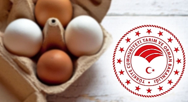 İhraç edilen yumurtalarda zararlı madde iddiası: Bakanlıktan açıklama!