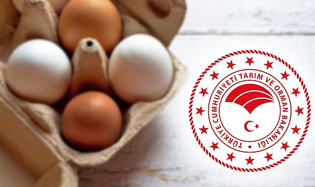 İhraç edilen yumurtalarda zararlı madde iddiası: Bakanlıktan açıklama!