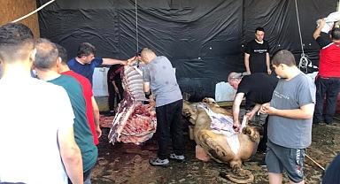 Kurban Bayramı’nda kaç kişi yaralandı? Bakan Koca açıkladı!