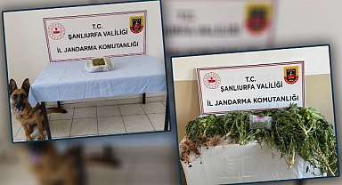 Şanlıurfa’nın iki ilçesinde operasyon!