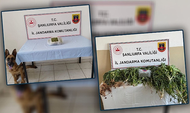 Şanlıurfa’nın iki ilçesinde operasyon!