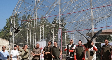 Urfa’da 30 kelaynak göçe bırakıldı!