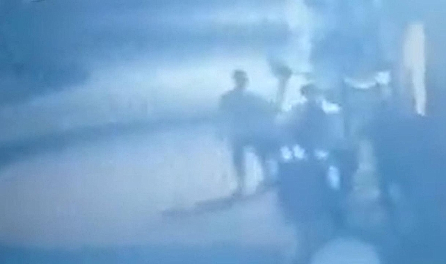 Urfa’da ağaç ateşe verilmişti: Suç duyurusunda bulunuldu!