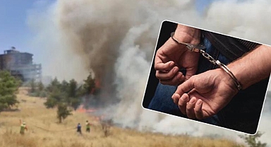 Urfa'da ağaçlık alanı yakan şahıs tutuklandı!