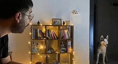 Urfa'da kuduz köpeğin saldırısı sonucu ölmüştü! Saldıran kendi köpeği miydi?