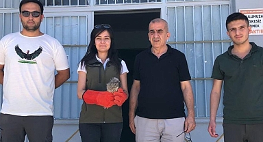 Urfa’da öğretmenler bitkin halde buldu!