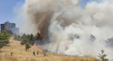 Urfa'da Orman Bölge Müdürlüğü alanında büyük yangın!
