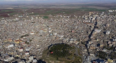 Urfa'nın ilçesinde kuduz vakası: Bazı yerler karantinaya alındı!