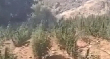 36,4 milyarlık operasyon!