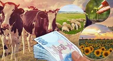 Bakan duyurdu! 300 milyon 778 bin TL'lik destek hesaplara aktarıldı!