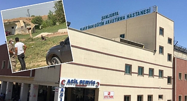 Hastaneden kaçmıştı! Kuduz olan hasta Urfa’ya nakledildi!