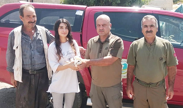 Şanlıurfa'da vatandaşlar doğada buldu!