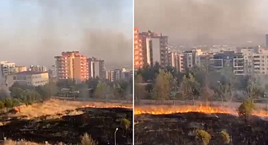Şanlıurfa’da yine kuru otlar ateşe verildi! Ağaçlar zarar gördü!