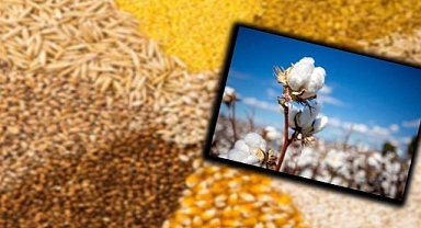 Şanlıurfa Ticaret Borsası'nda en yüksek fiyata satılan ürün oldu!