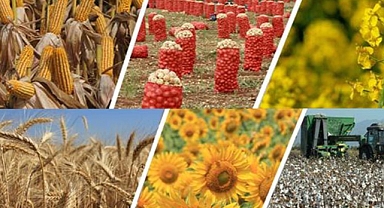 Şanlıurfa Ticaret Borsası'nda en yüksek fiyata satıldı!