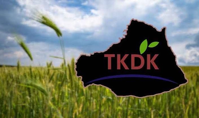 TKDK duyurdu: Hibe verilecek!