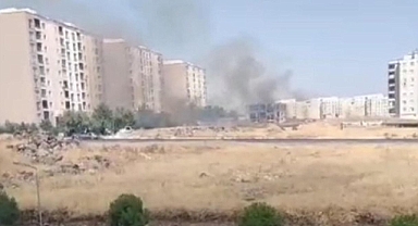 Urfa'da kuru ot yangını!