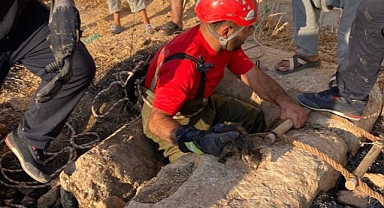 Urfa'da kuyuya düştü! İtfaiye ekipleri kurtardı!