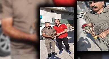 Urfa'da vatandaş bitkin halde buldu! Tedaviye alındı!