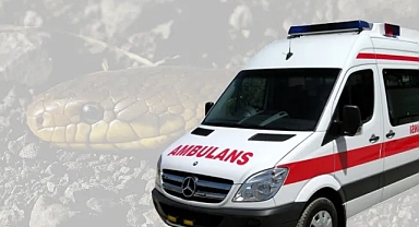 Urfa’nın ilçesinde bir genci yılan ısırdı!