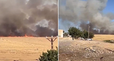Uyarılar dikkate alınmıyor! Şanlıurfa'da anız yangınları devam ediyor!