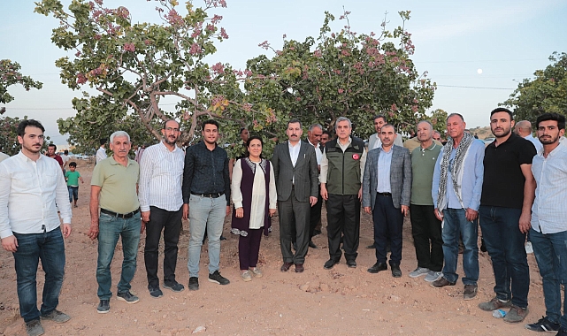 Başkan Beyazgül, “Dünyada Fıstığın Merkezi Şanlıurfa'dır”