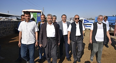 Başkan vekili, Başkan yardımcıları ile birlikte hayvan pazarını ziyaret etti
