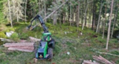 Düşen tomruğun altında kalan işçi öldü!