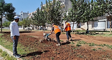 Eyyübiye Parklarında Sonbahar Çalışması