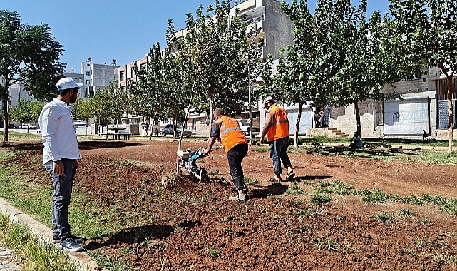 Eyyübiye Parklarında Sonbahar Çalışması