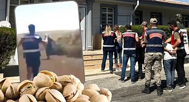 Fıstık hırsızları kovalamaca sonucu yakalandı!