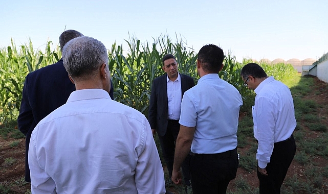 Şanlıurfa AMATEM'de “Hobi bahçesi ile tarla terapisi ”uygulanıyor