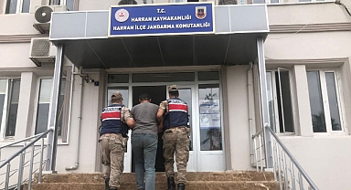 Şanlıurfa’da yakalandı! 7 yıl 6 ay kesinleşmiş hapis cezası vardı
